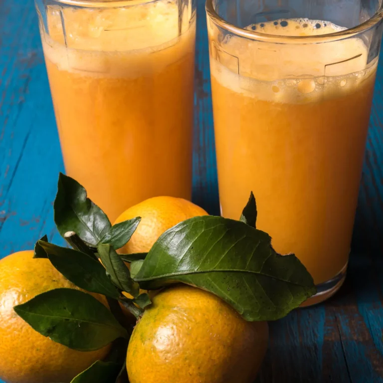 Orange Juice Bliss: Citrus Freshness in Every Glass!