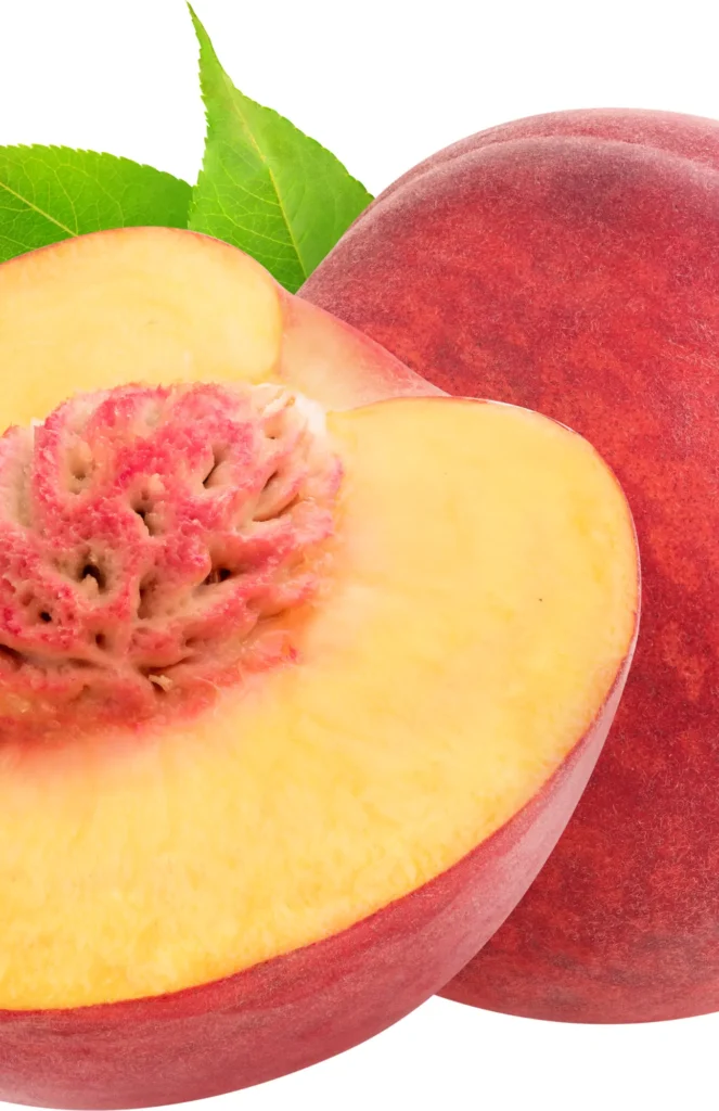 Peach Shake Delights: Refreshing Summer Sips! Peach Shake Delights: Refreshing Summer Sips!