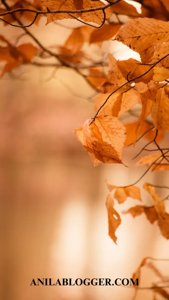 Fall iPhone Wallpapers: Embrace the Autumn Vibes on Your Device!