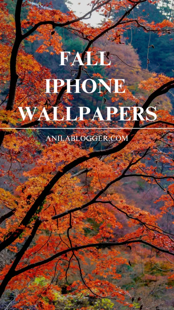 Fall iPhone Wallpapers: Embrace the Autumn Vibes on Your Device!